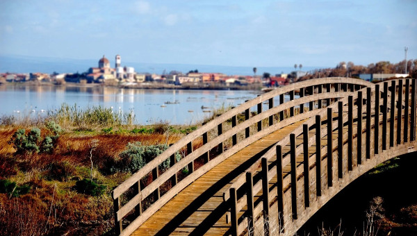 AQUAE SINIS **** (Cabras)